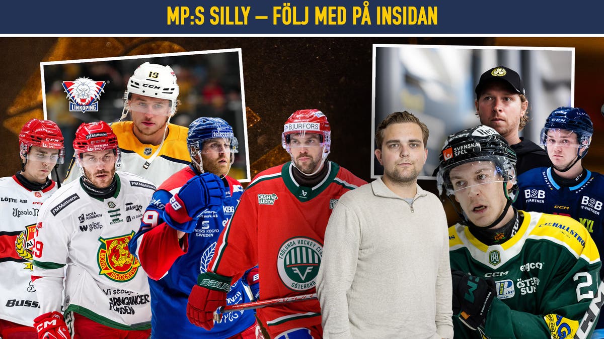 MP:s silly