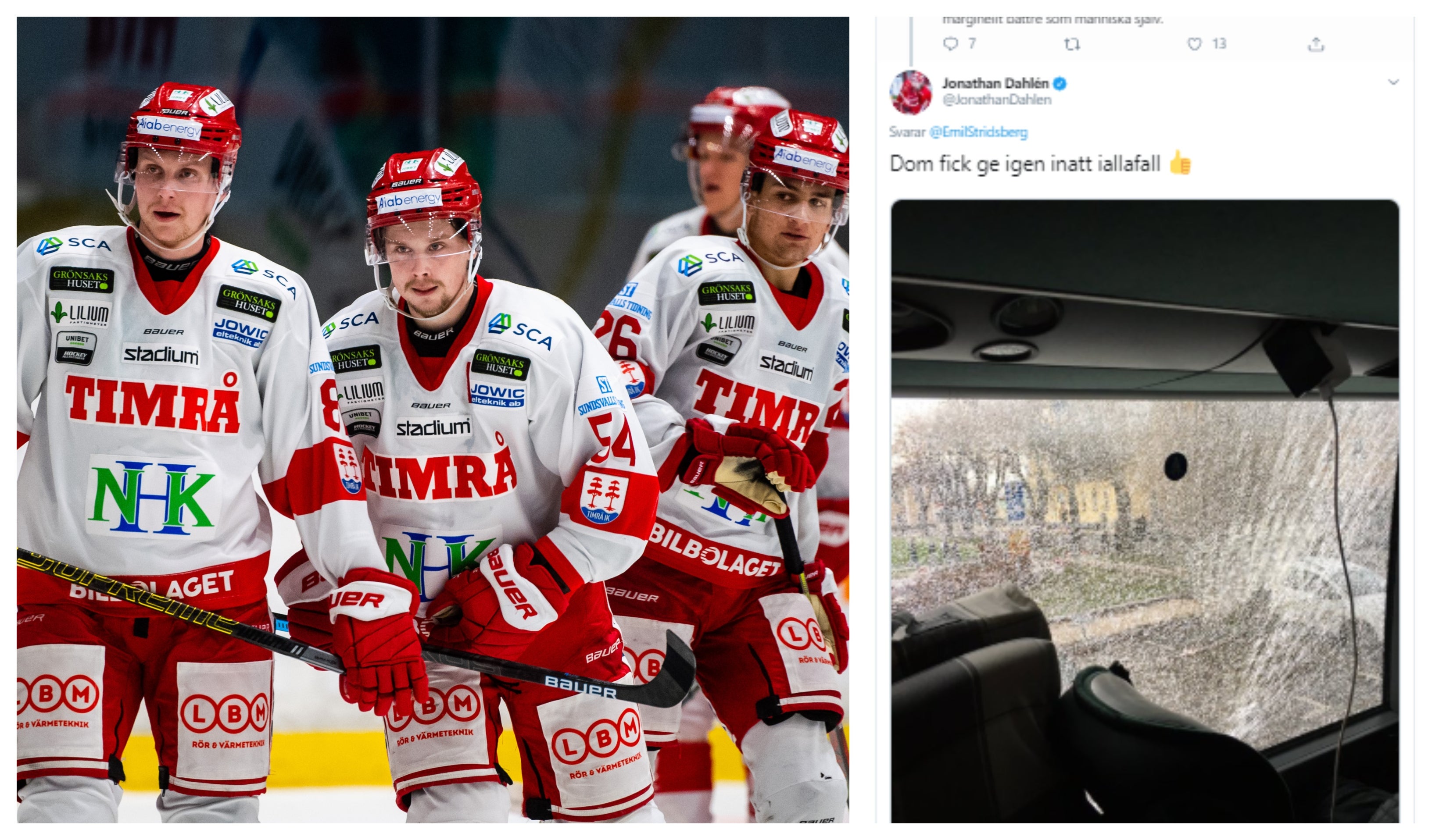 (11241) Timråbuss