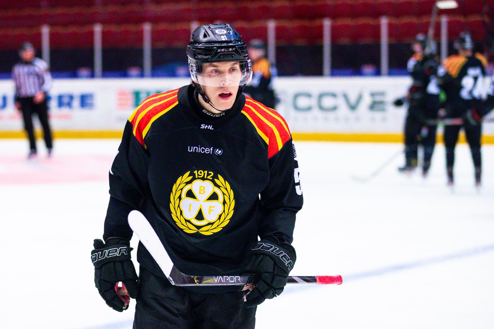 (19334) Tomi Sallinen