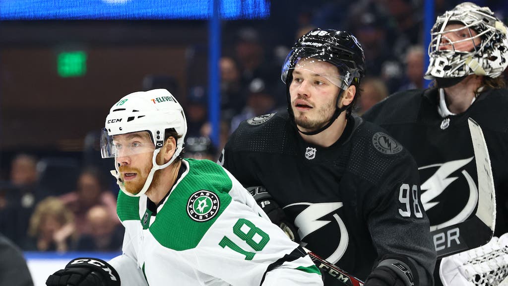 (24321) Michael Raffl/Dallas