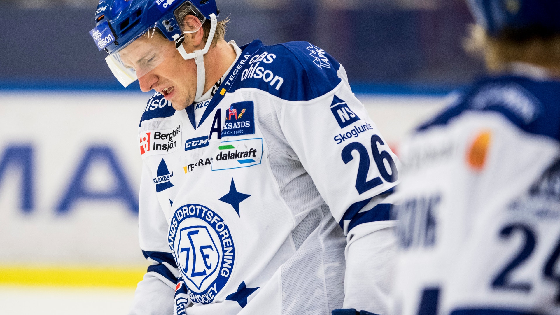 Petter Arvidson/Bildbyrån