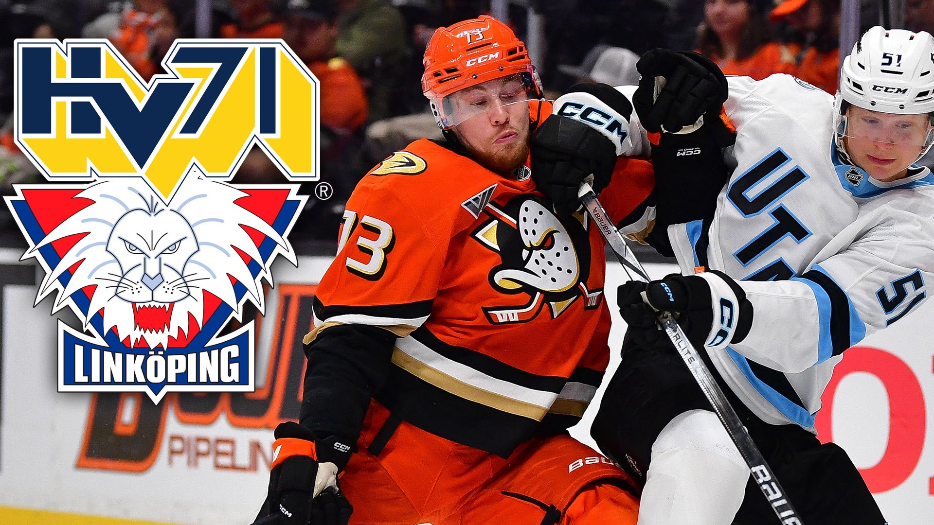 Hockeyspelare i orange HV71-tröja i duell med motspelare under en match.