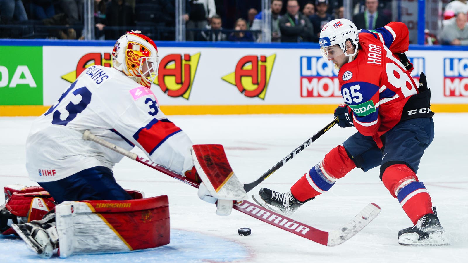 (28319) Michael Haga