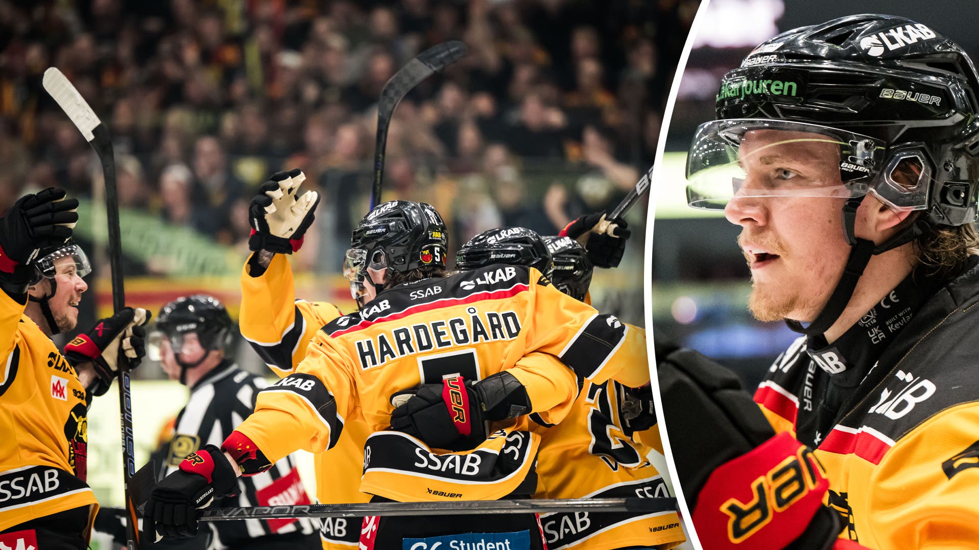 Marcus Hardegård