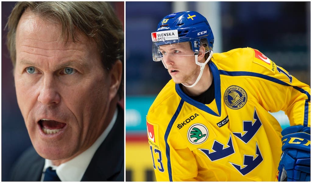 (10852) Garpenlöv/Niklas Hansson