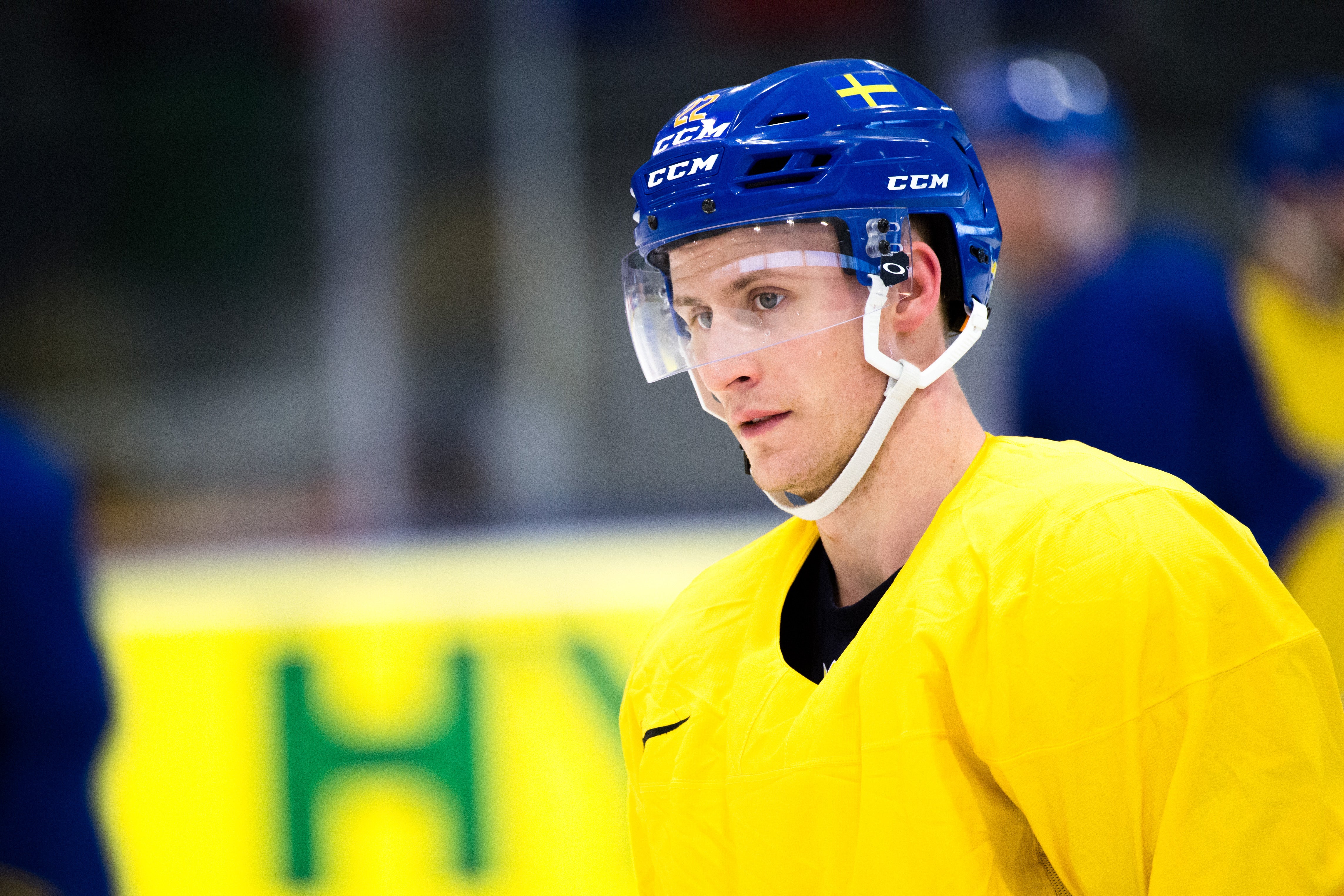 (4121) Alexander Bergström