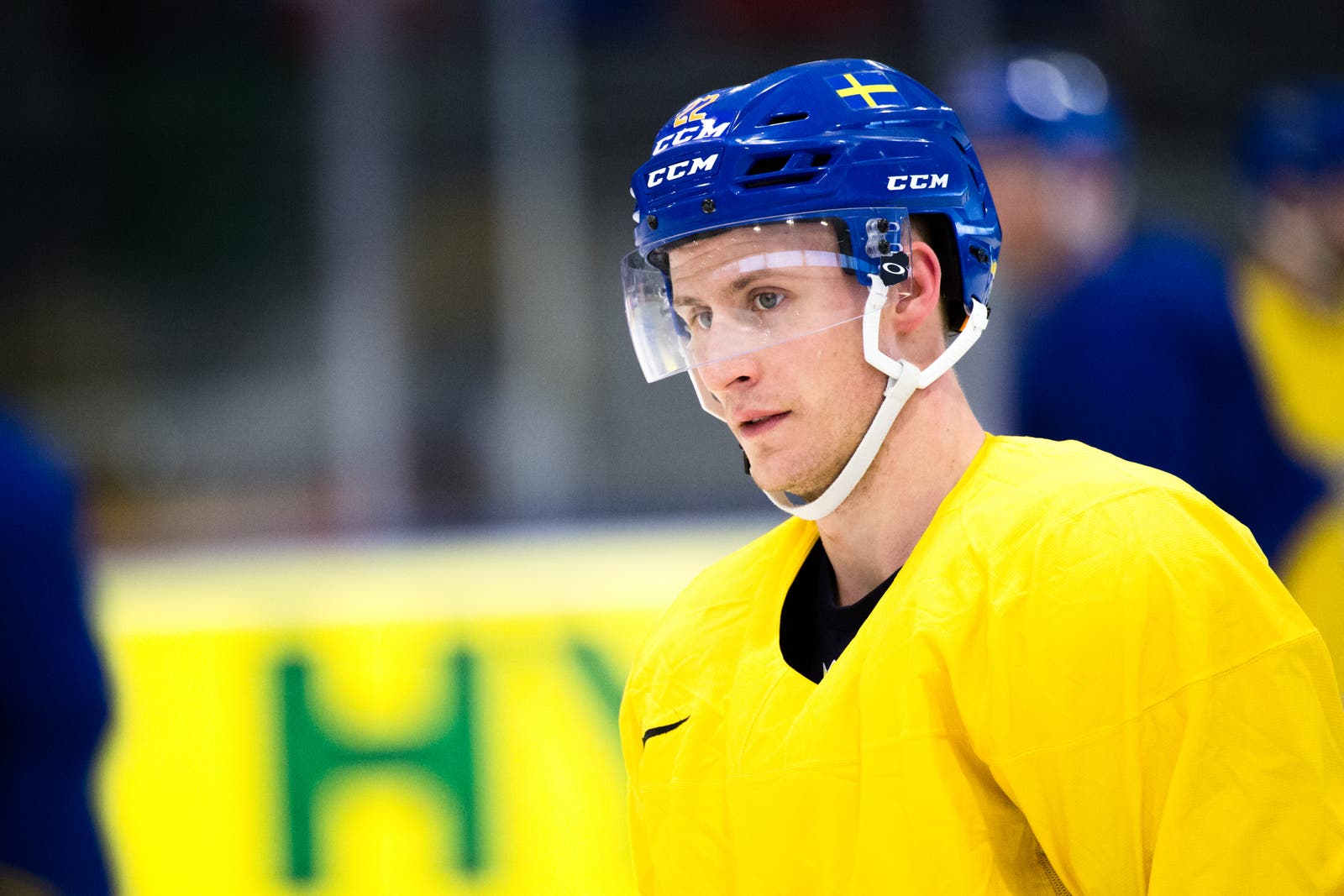 (4121) Alexander Bergström