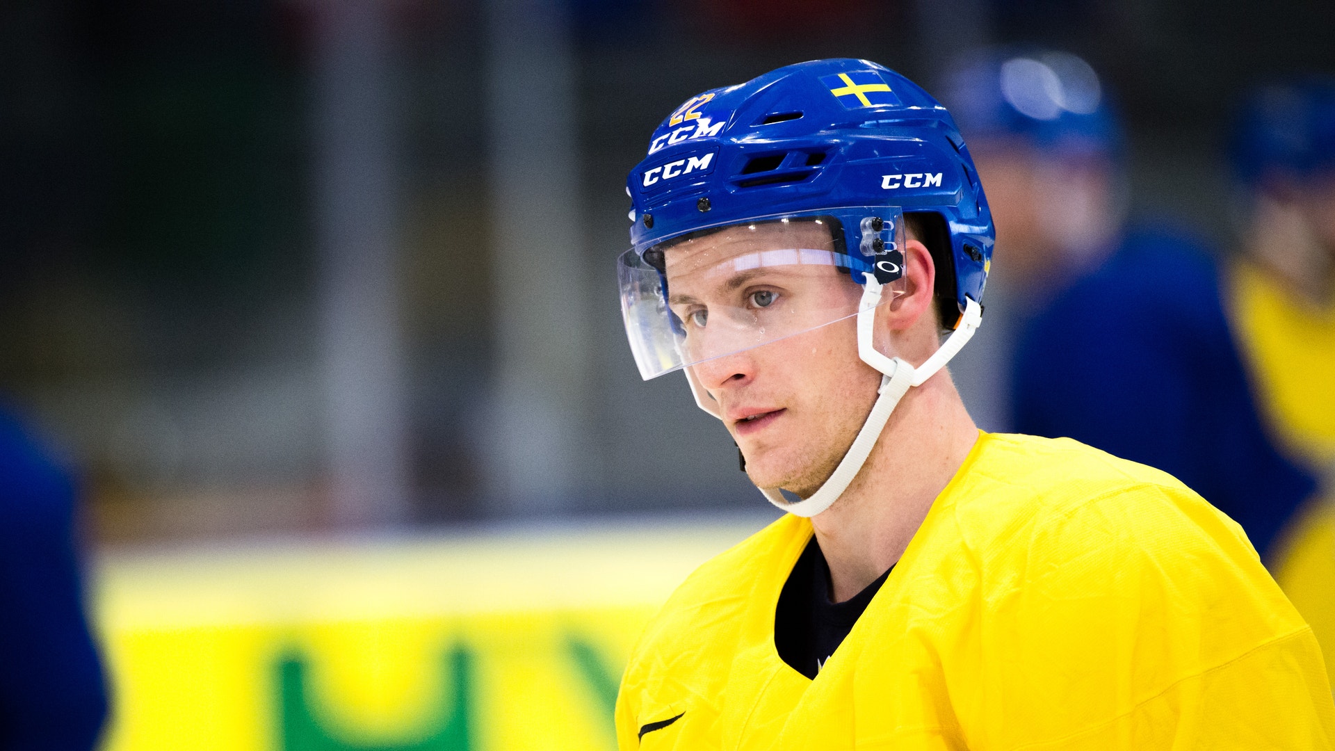 (4121) Alexander Bergström