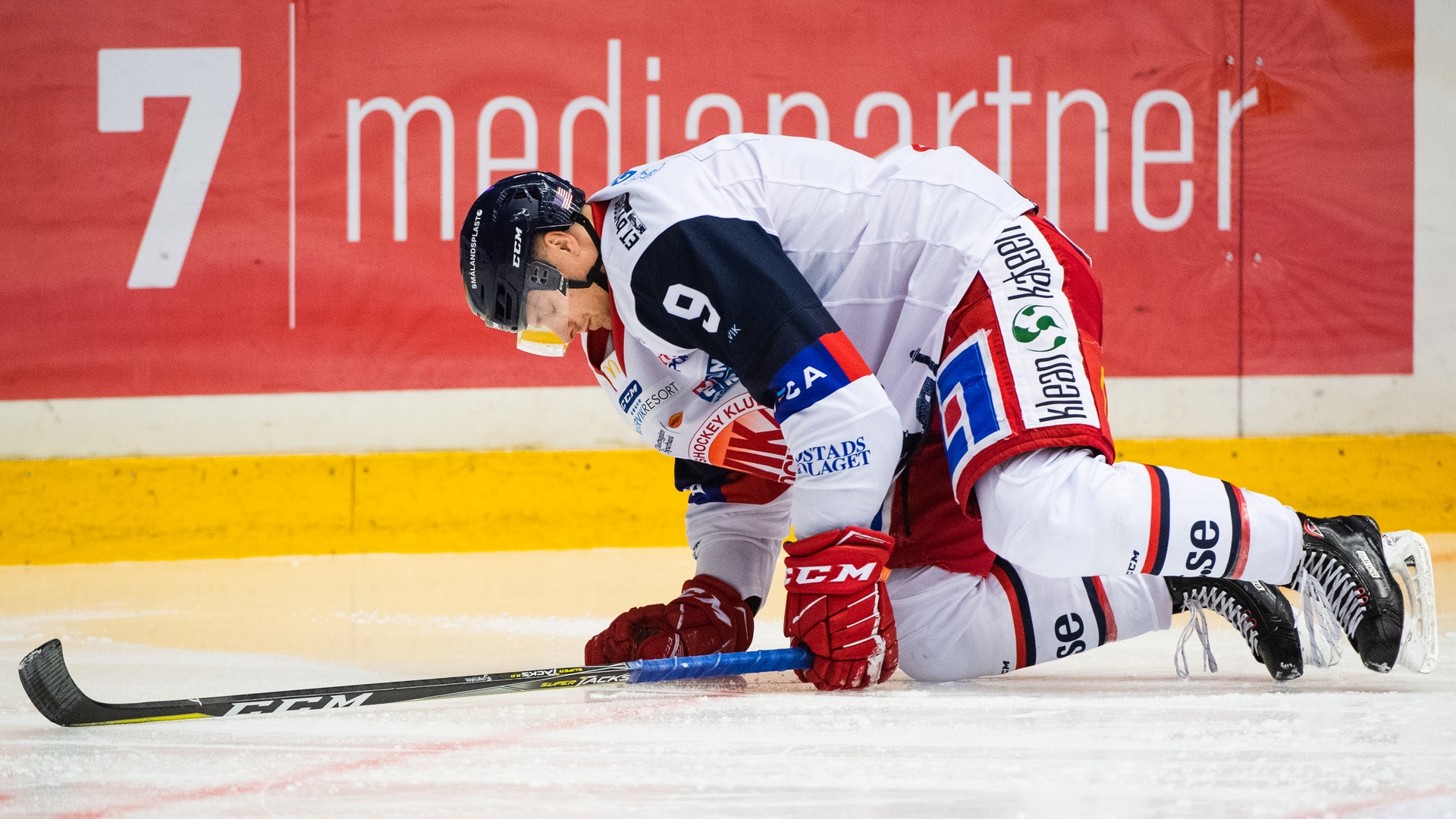 (4960) trevor mingoia