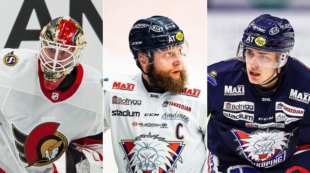 (19948) Högberg/Junland/Pasic