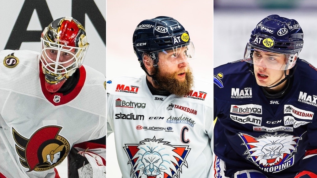 (19948) Högberg/Junland/Pasic