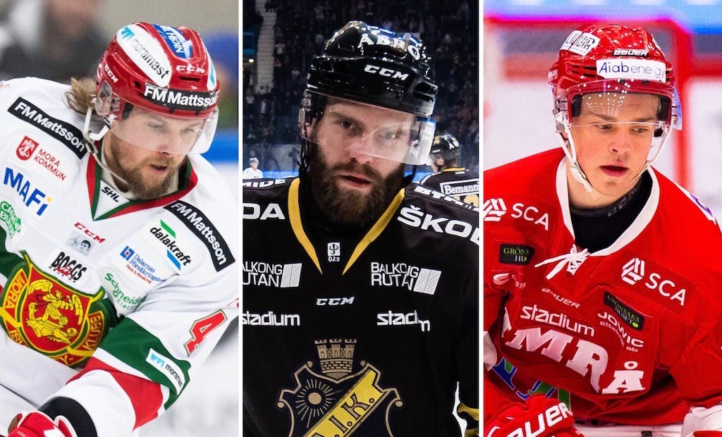 (9304) amnér larsson nielsen