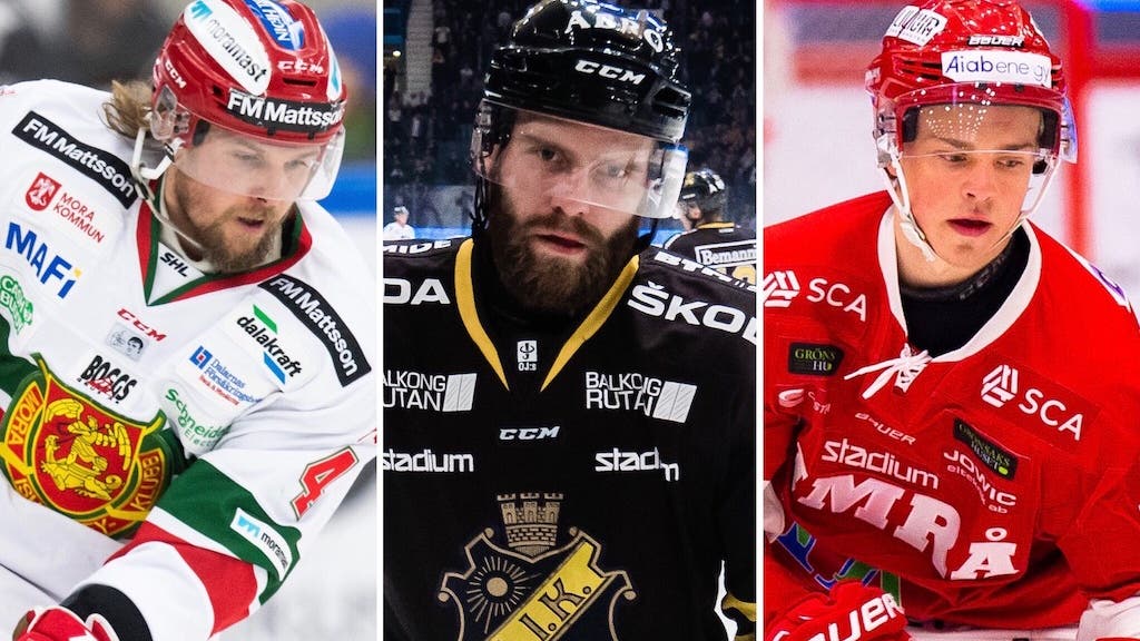 (9304) amnér larsson nielsen