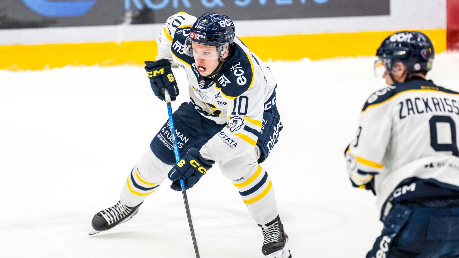 felix öhrqvist