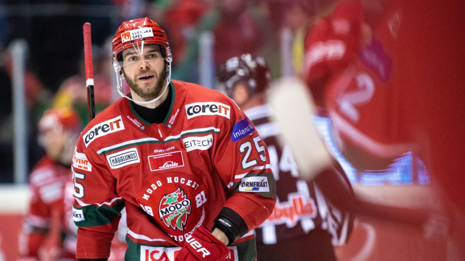 (23231) Sam Vigneault Modo