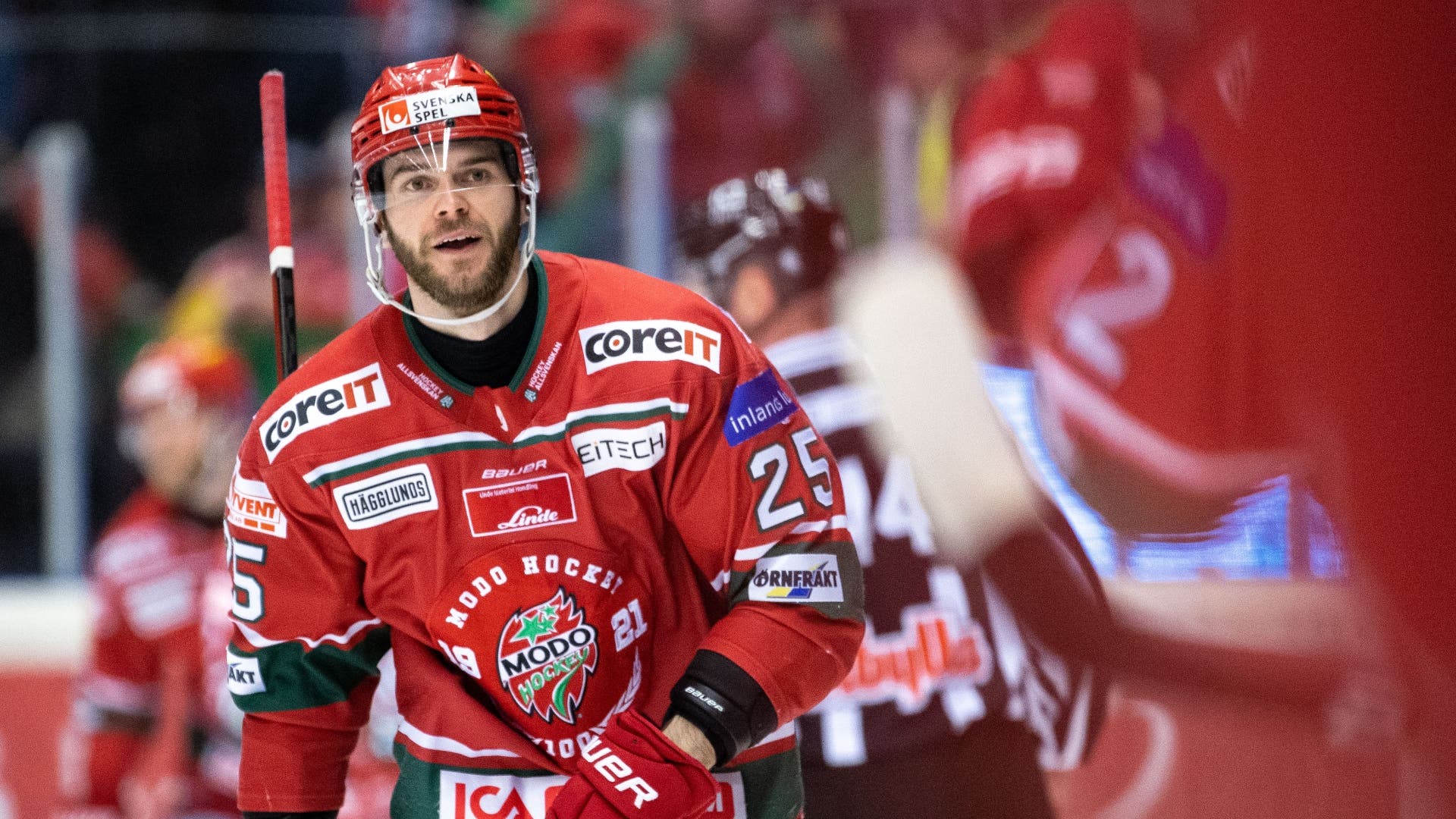 (23231) Sam Vigneault Modo