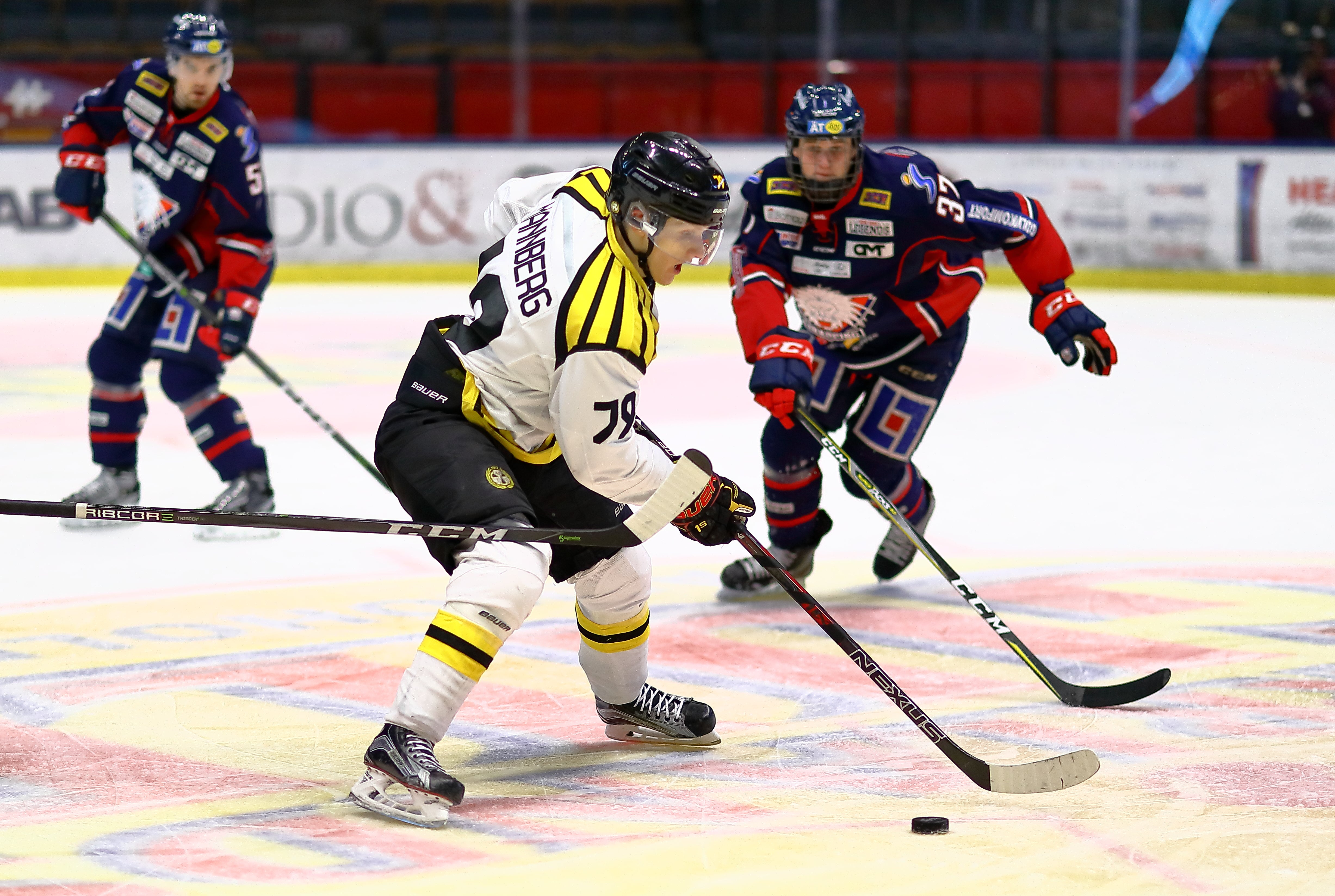 Peter Holgersson/Bildbyrån