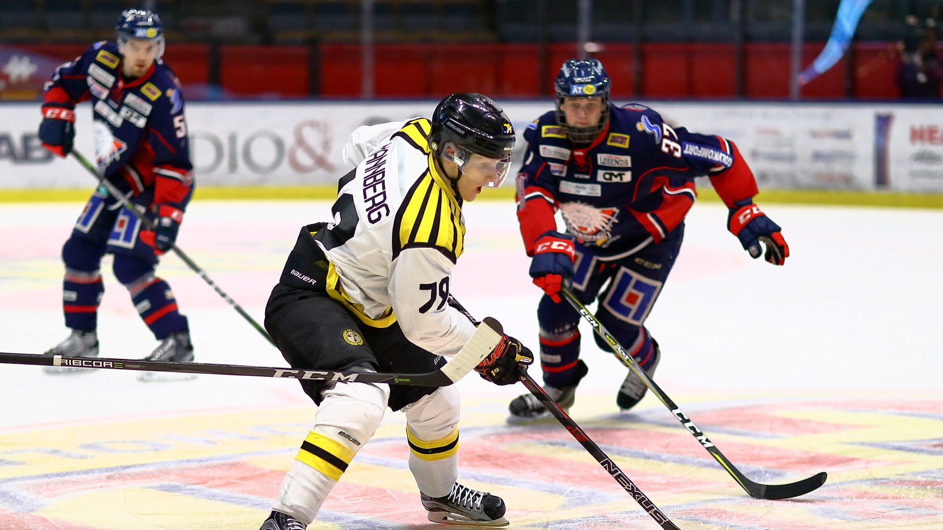 Peter Holgersson/Bildbyrån