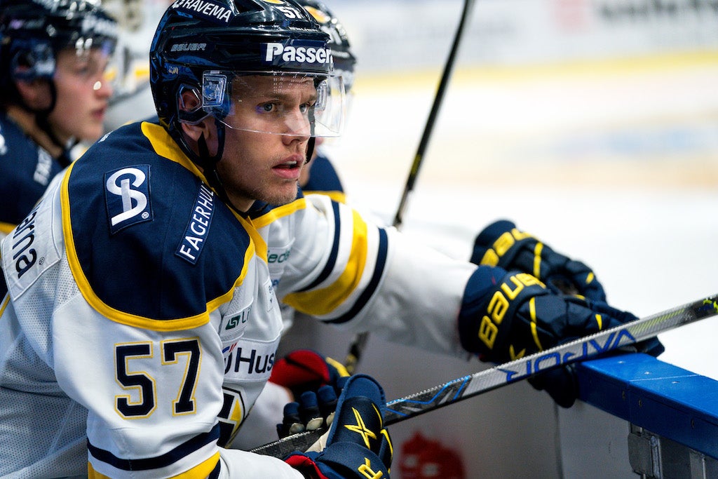 (16437) Anton Wedin/HV71