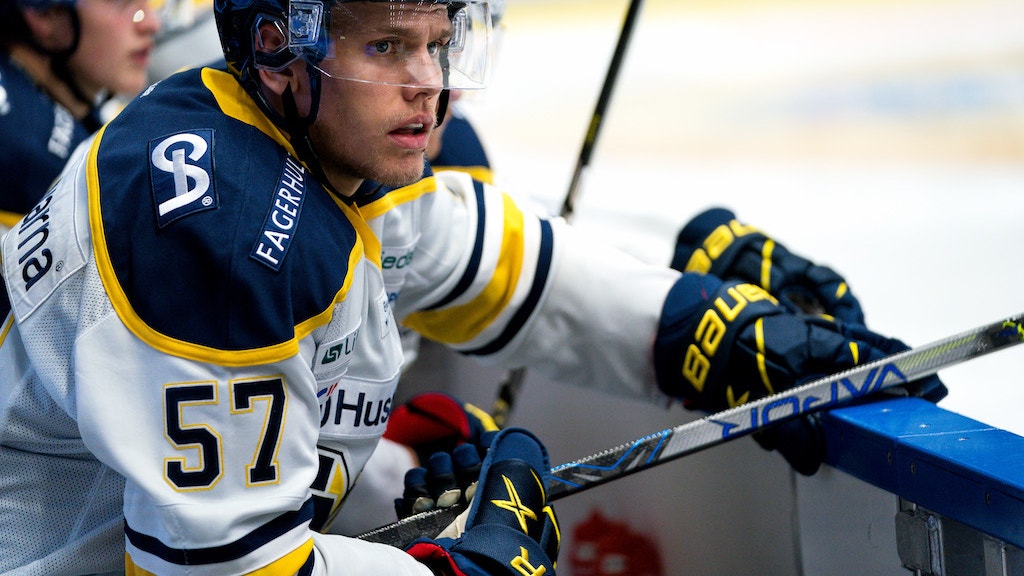 (16437) Anton Wedin/HV71