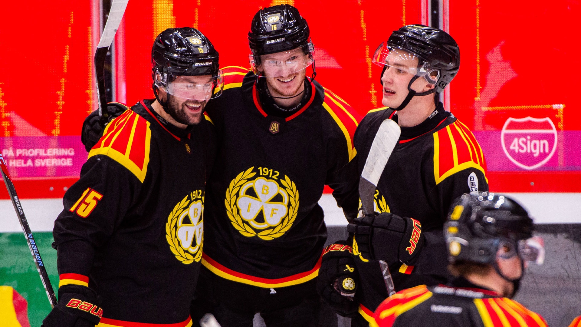 (29379) Brynäsjubel