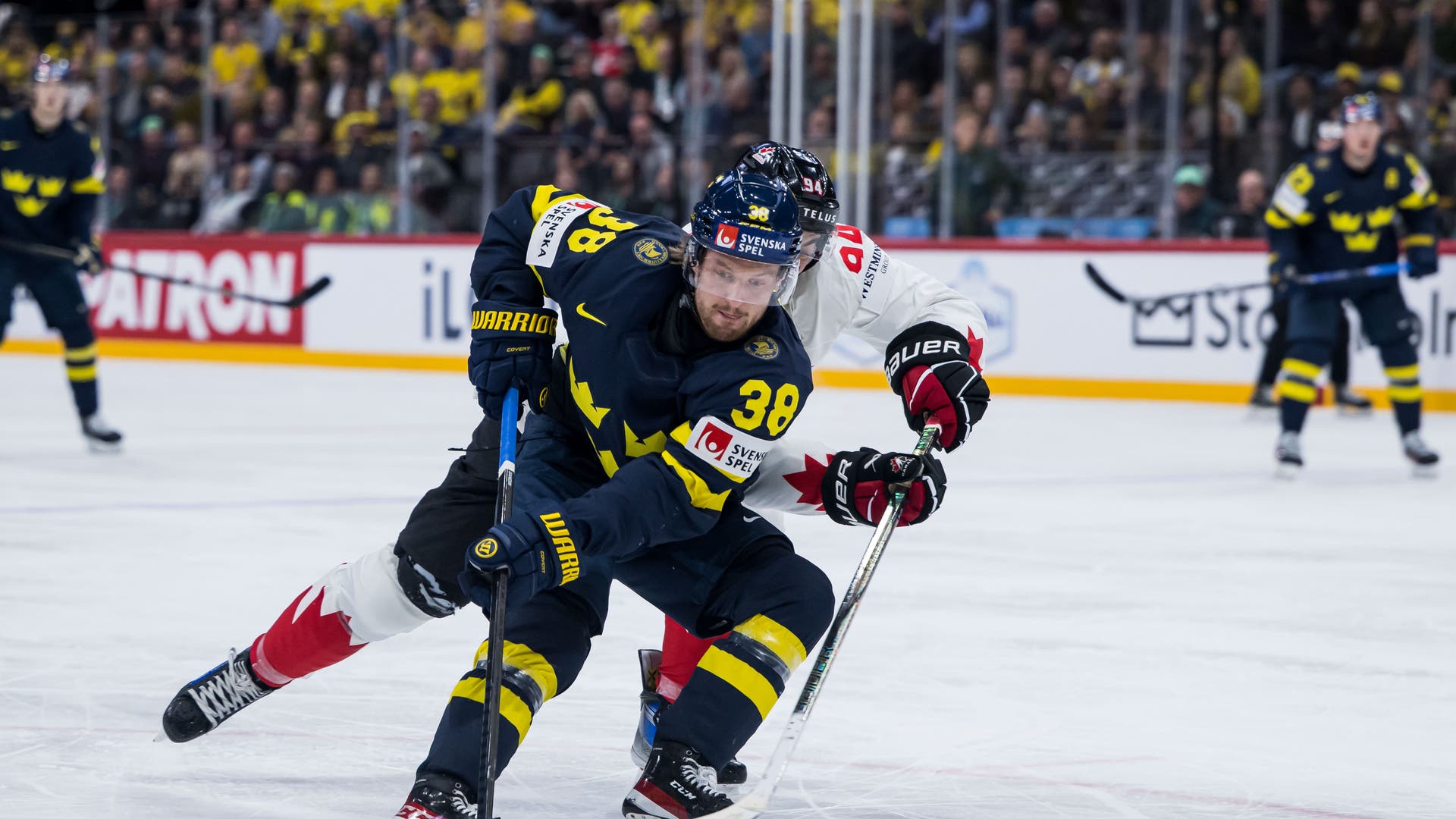 Rasmus sandin