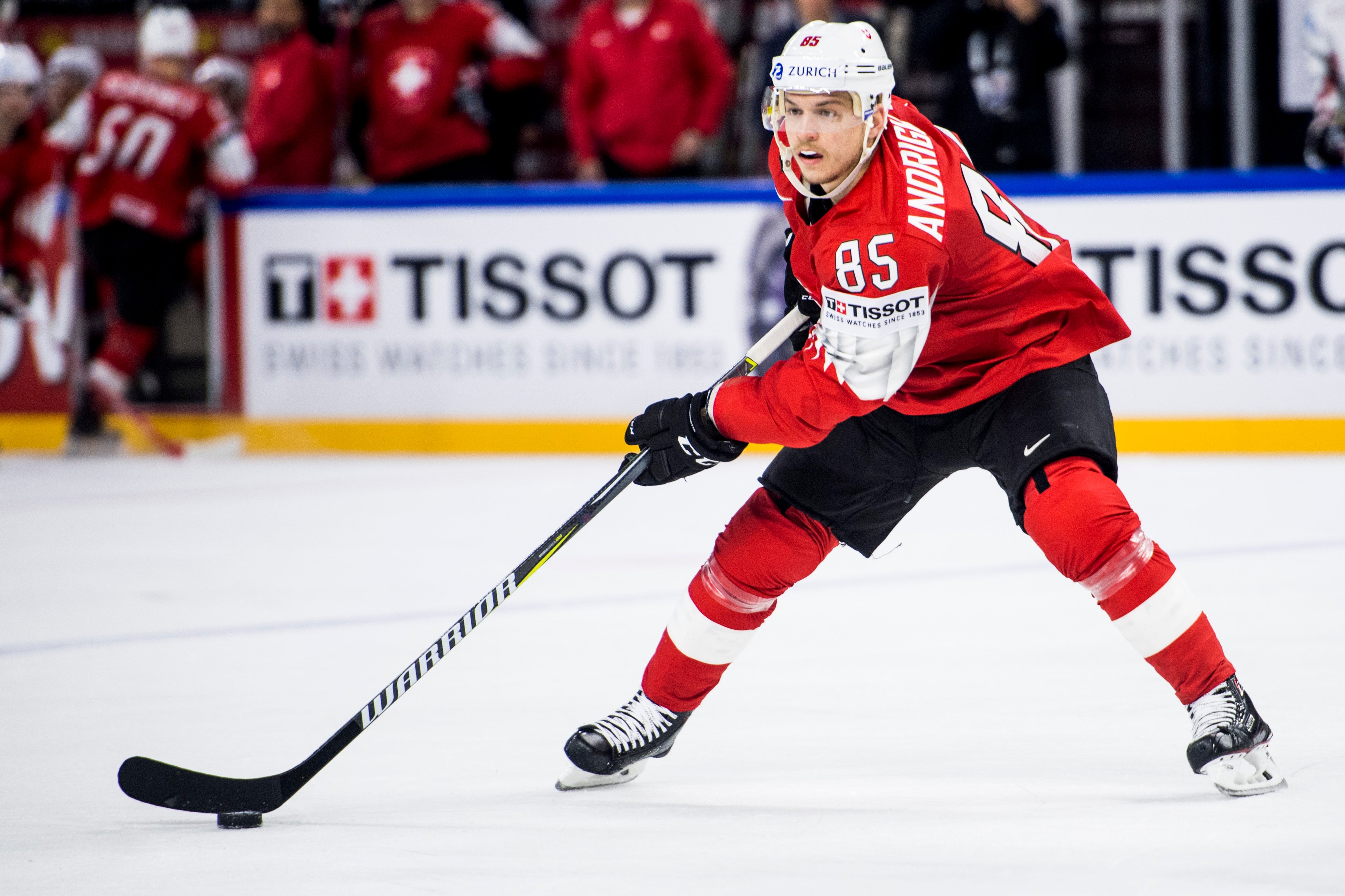 (2731) andrighetto 2