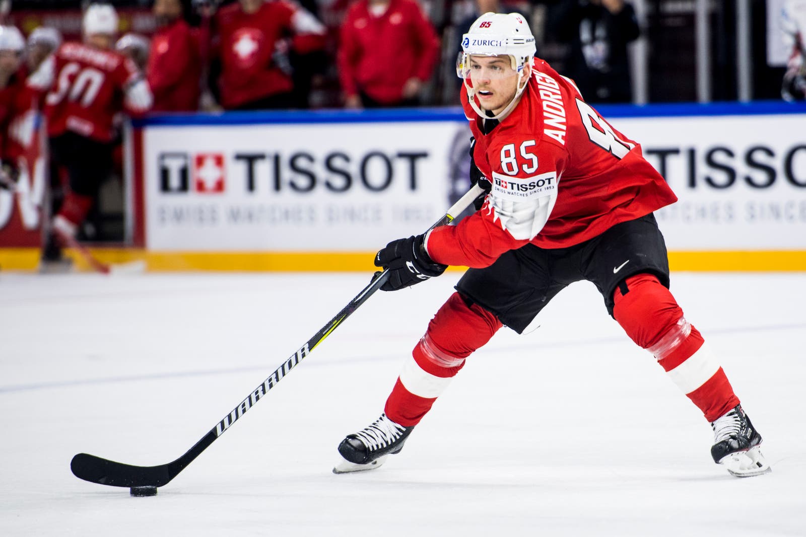 (2731) andrighetto 2