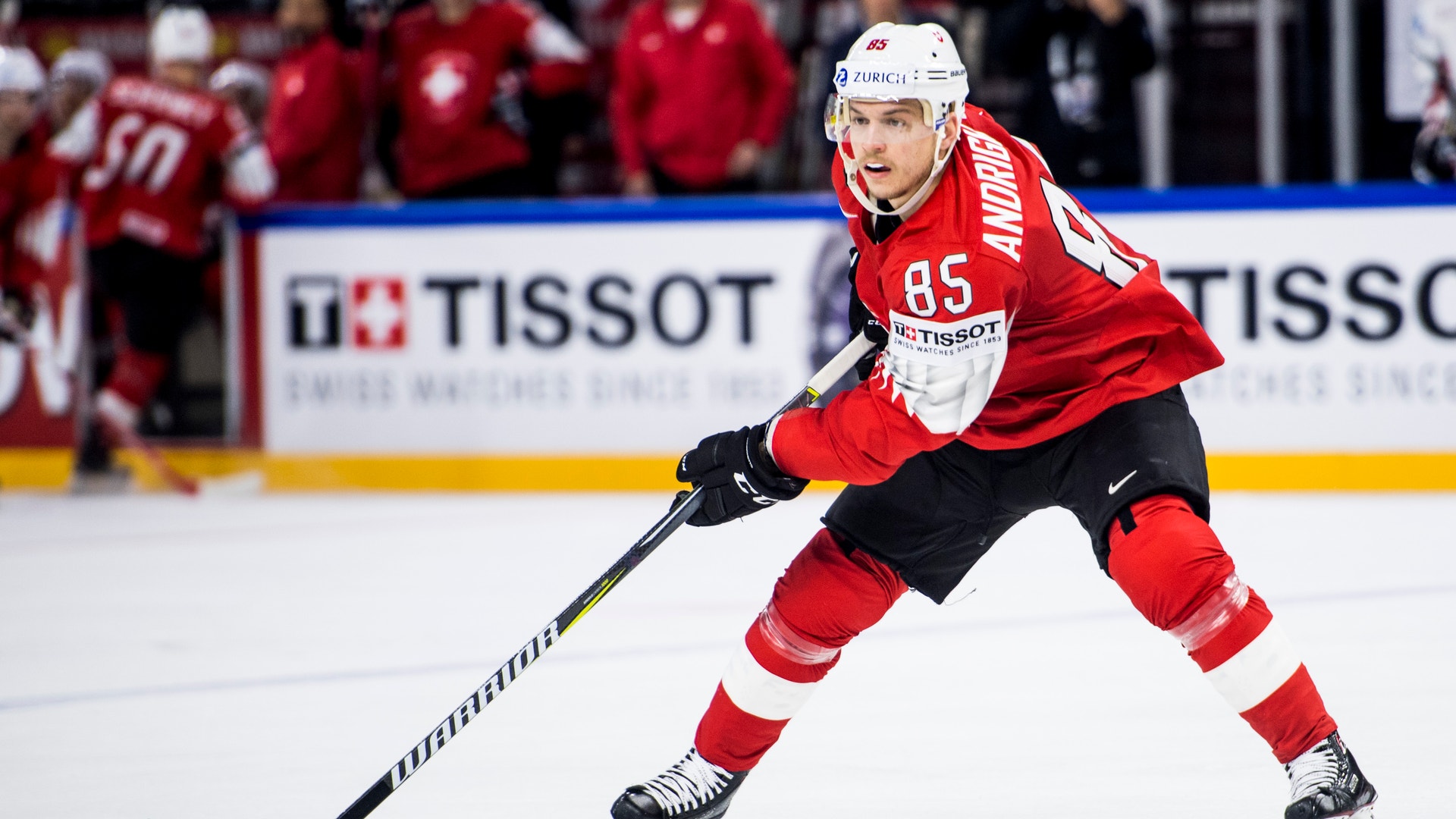 (2731) andrighetto 2