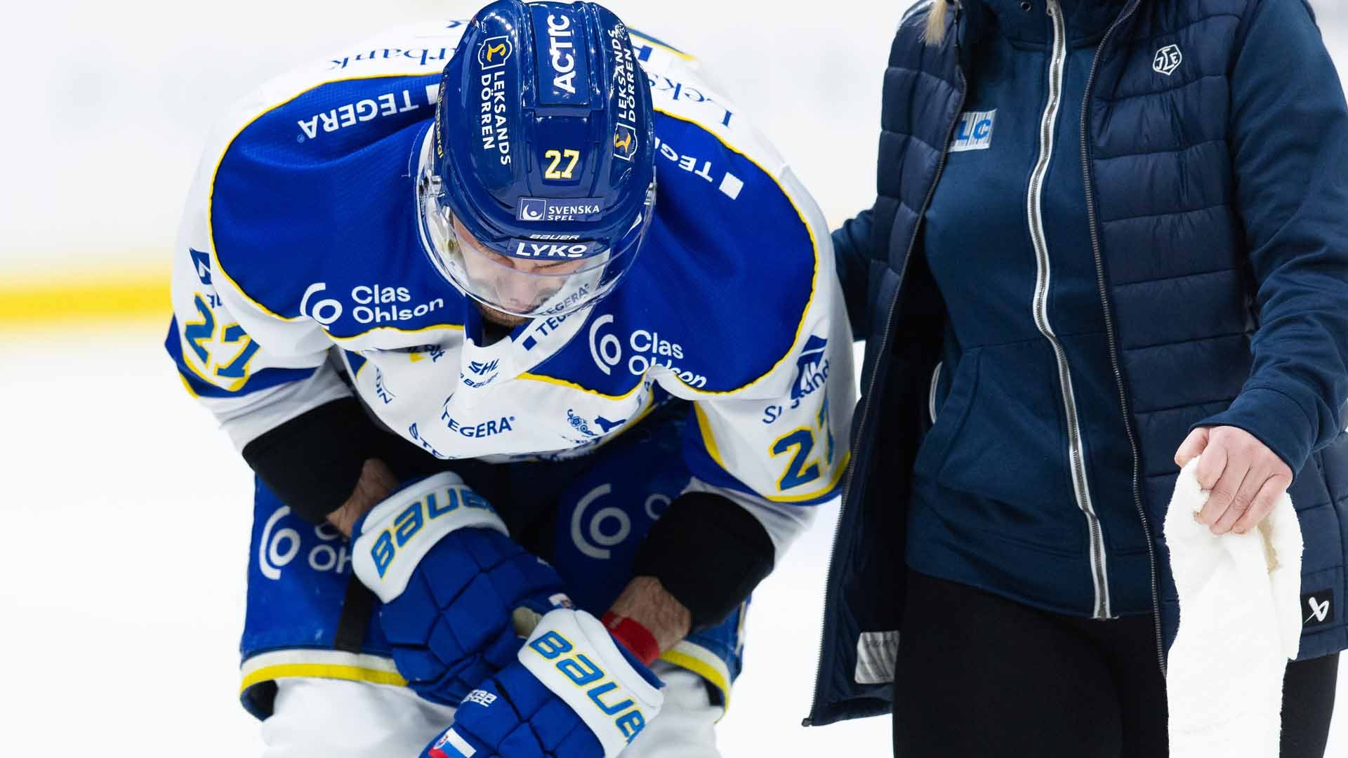 Hrivik
