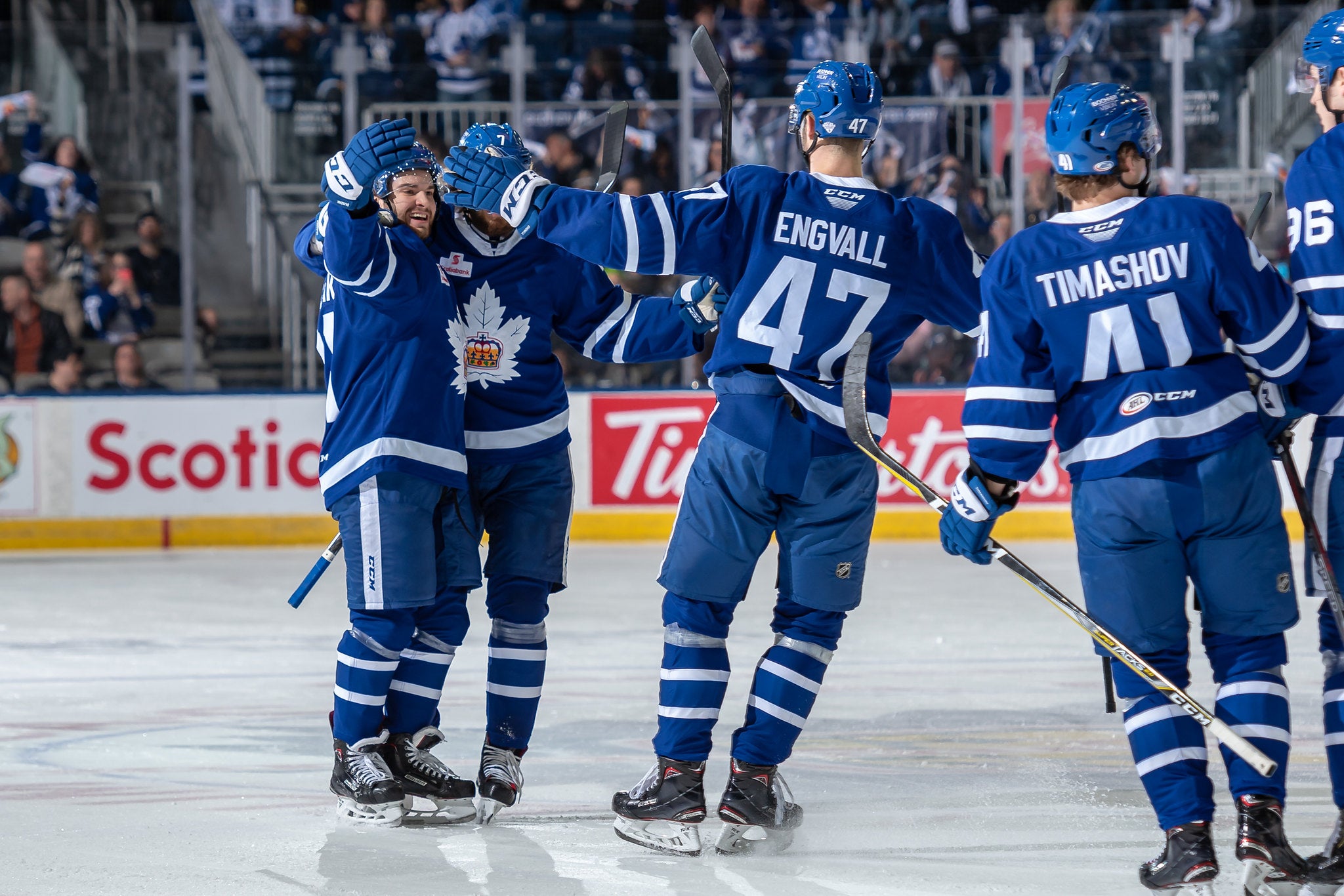 Toronto Marlies/Christian Bonin