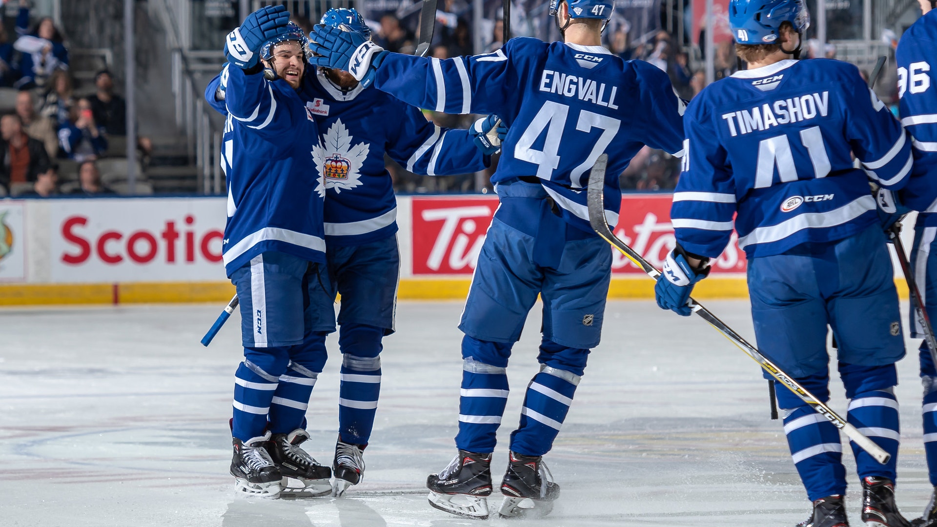Toronto Marlies/Christian Bonin