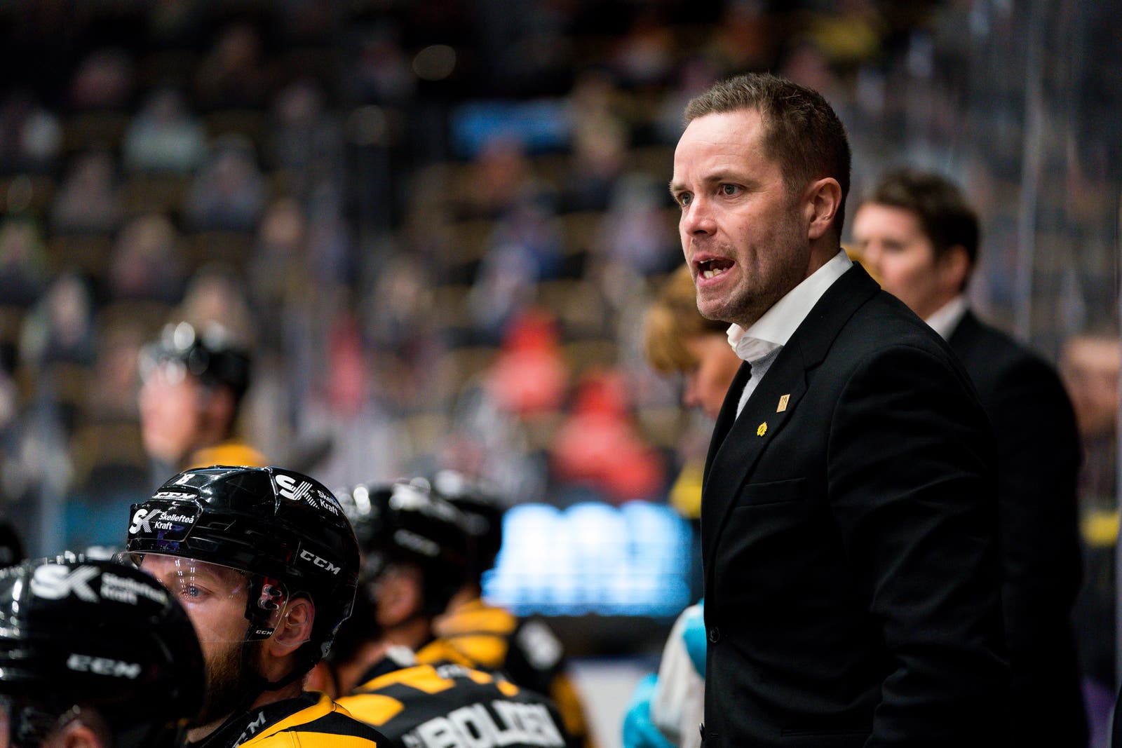 (18233) Stefan Hedlund