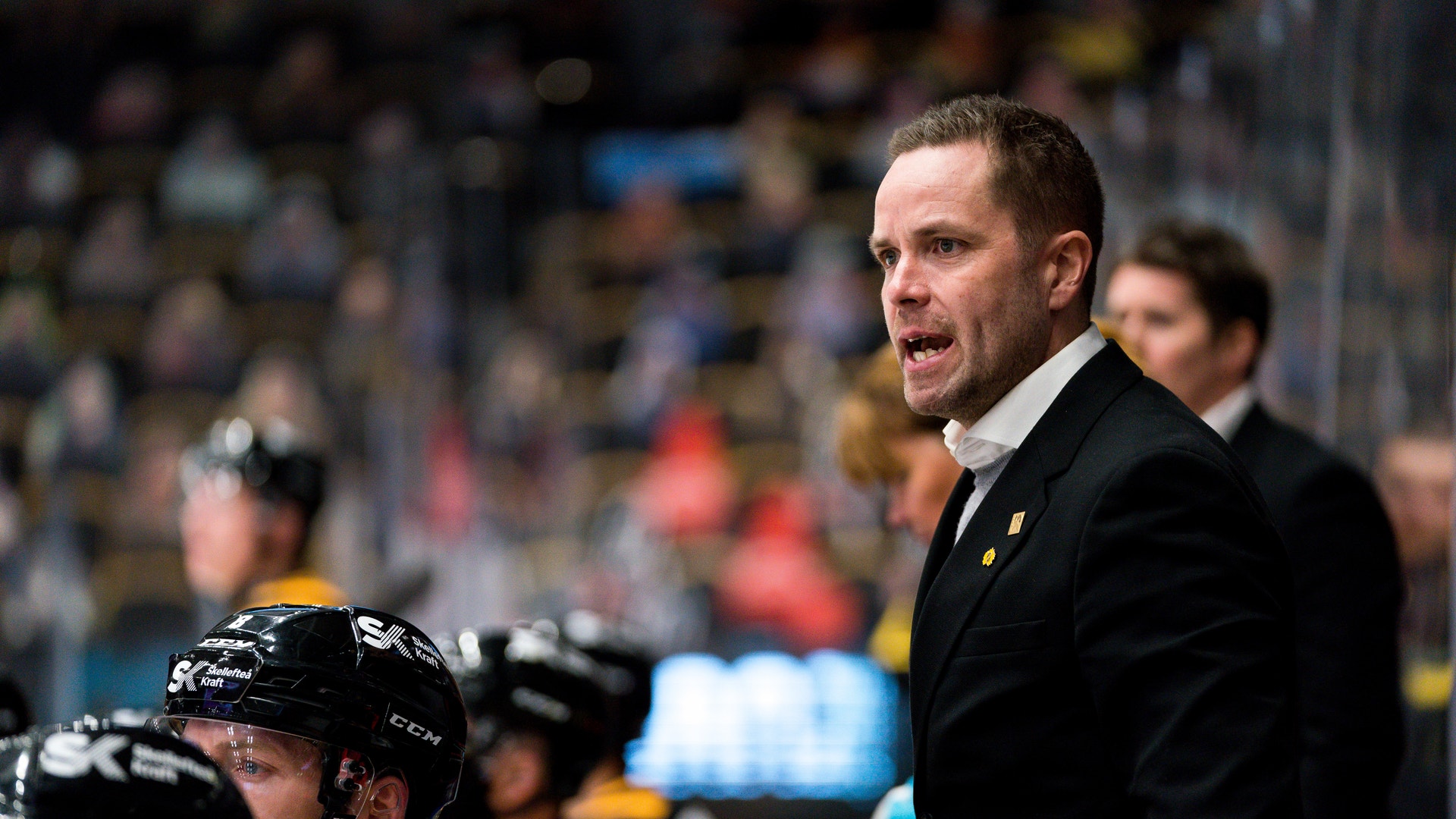 (18233) Stefan Hedlund