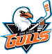 San Diego Gulls