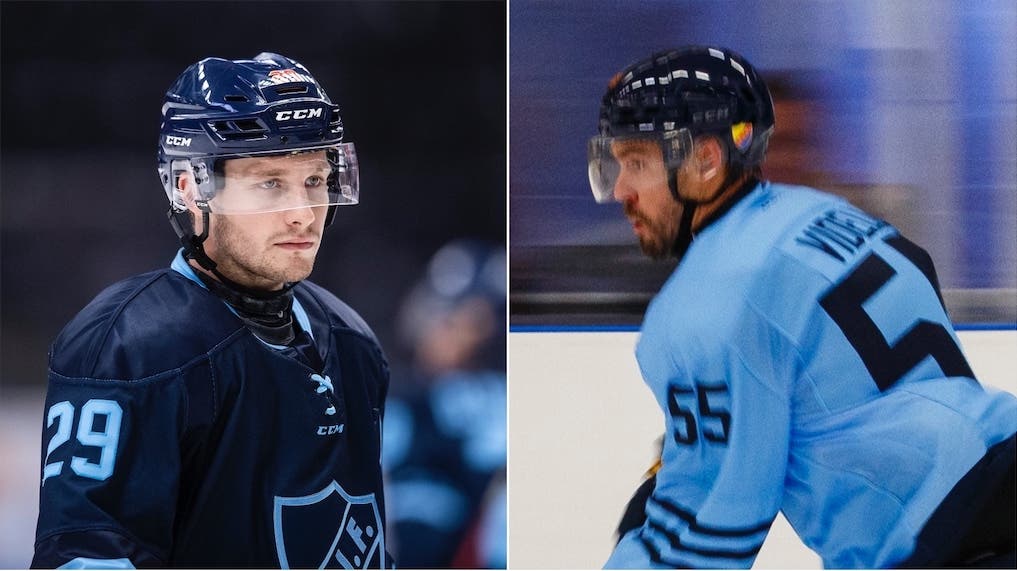 (20442) Strandberg/Videll