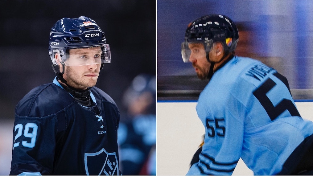 (20442) Strandberg/Videll