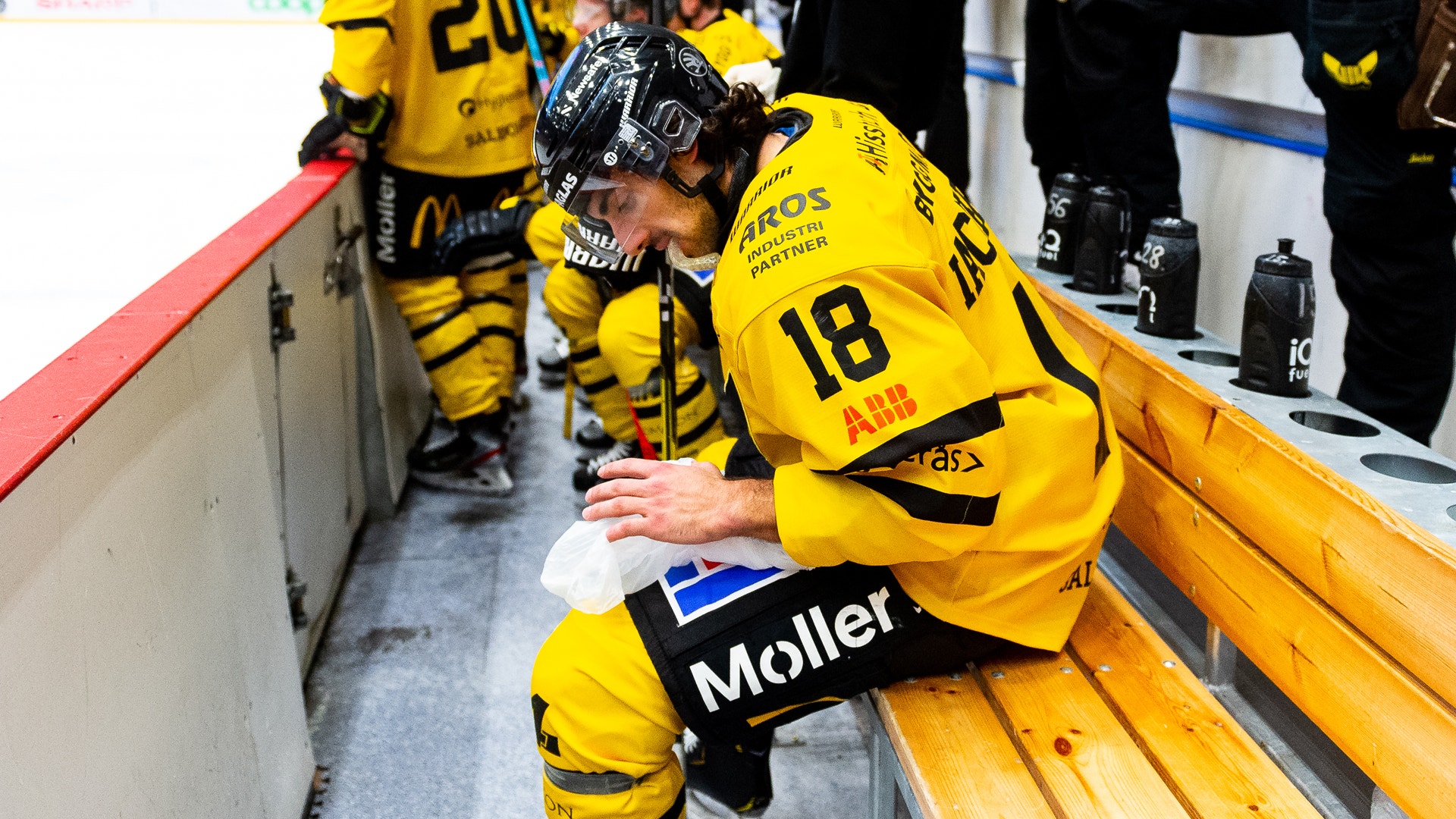 (17967) Steven Iacobellis