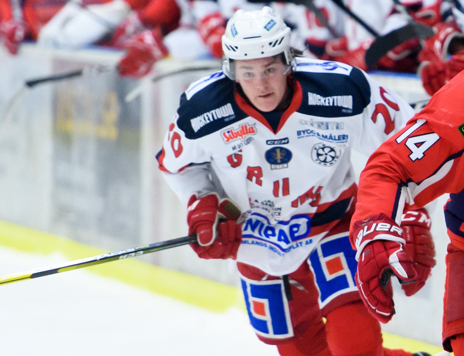 (10450) Pelle Hedlund