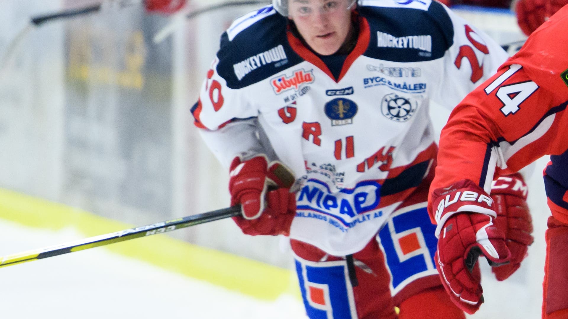 (10450) Pelle Hedlund