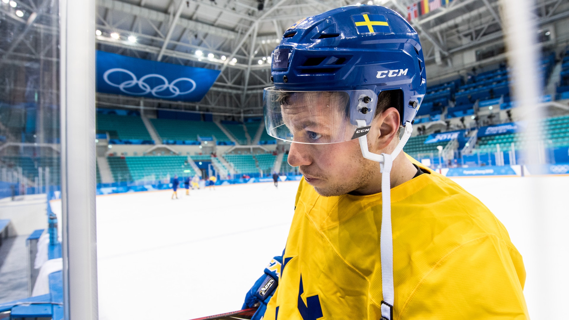 Petter Arvidson/Bildbyrån
