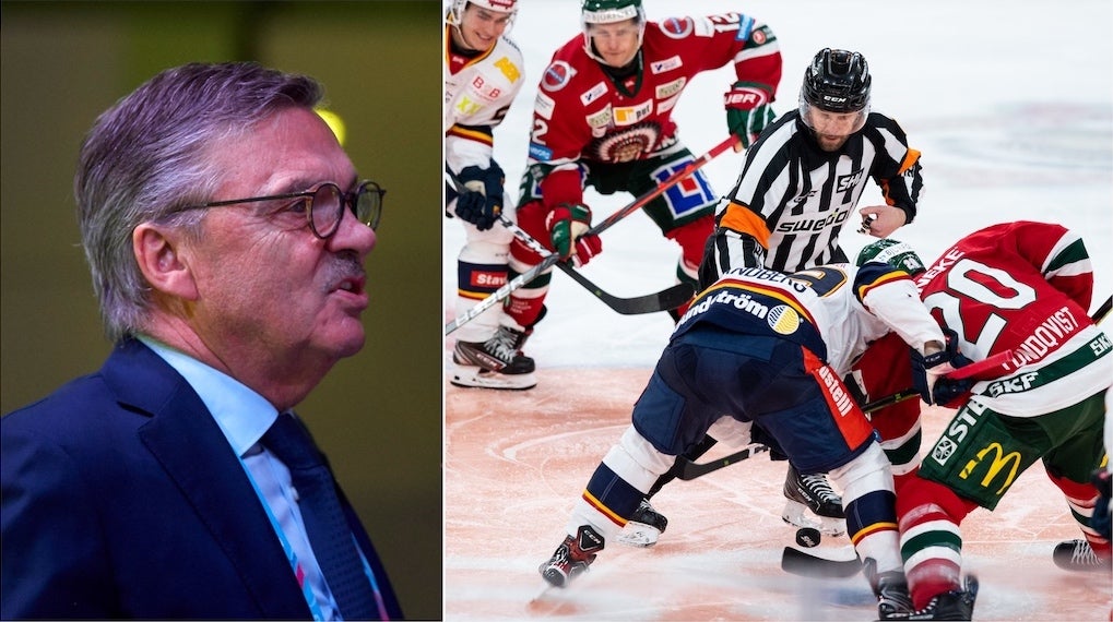 (13818) René Fasel/Frölunda-DIF