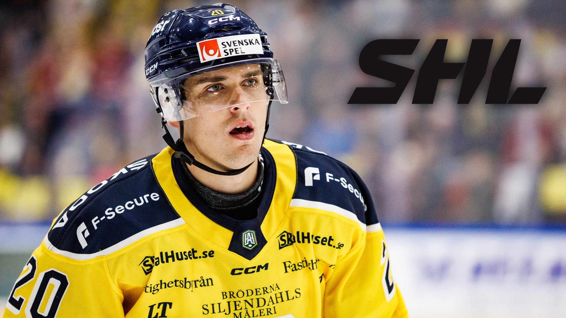 (26085) Nikola Pasic