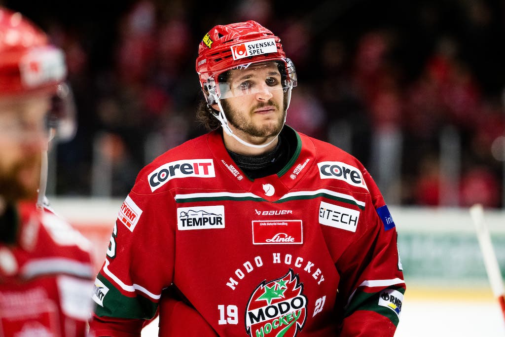 (28274) Daniel Brickley