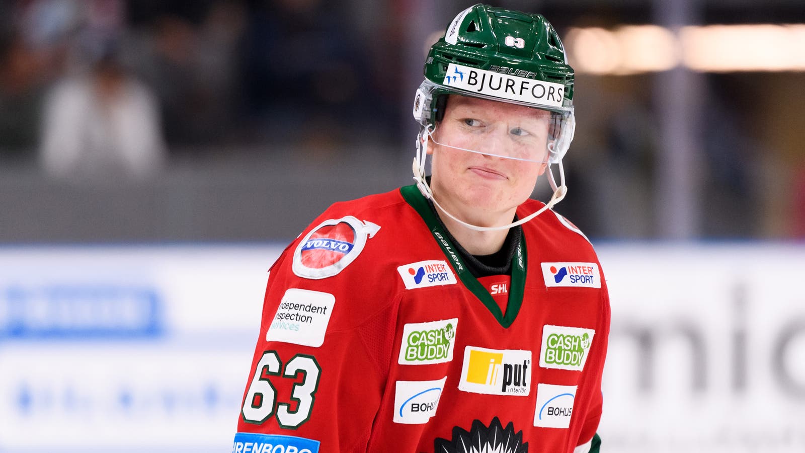 (19913) Julius Bergman