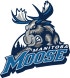 Manitoba Moose