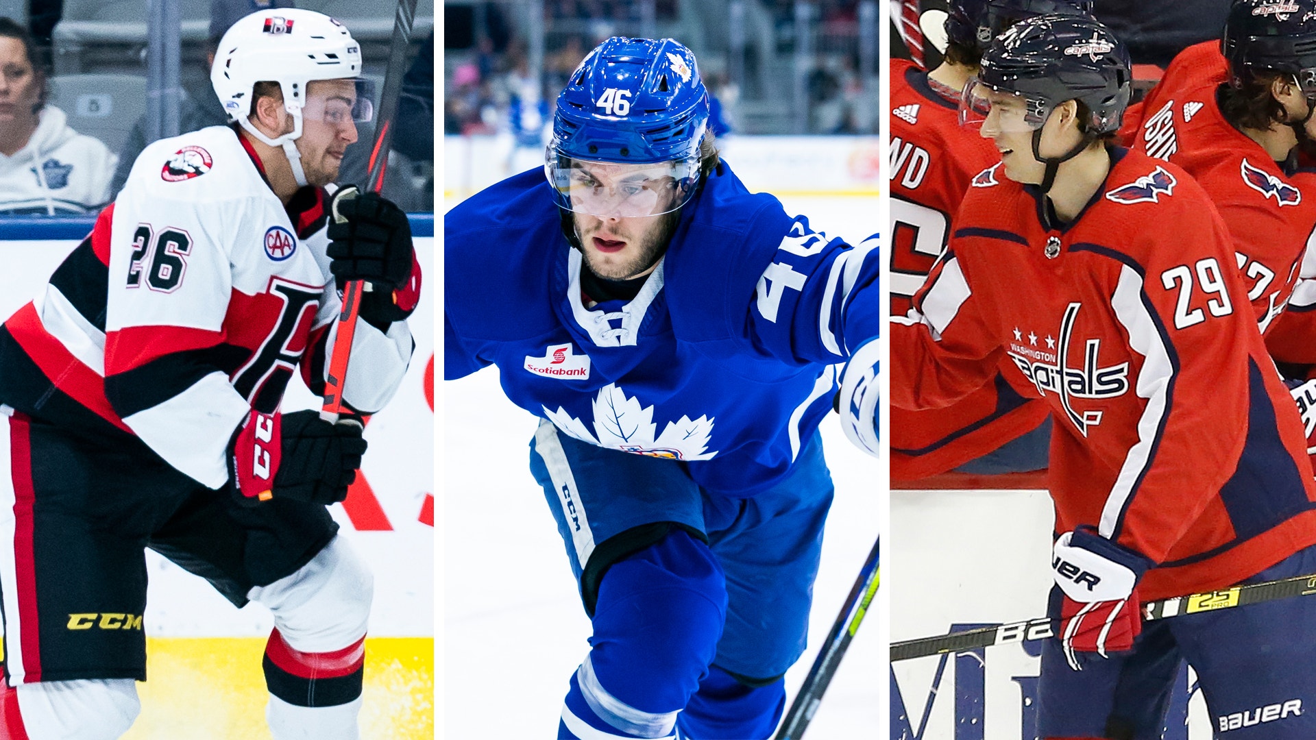Thomas Skrlj/Toronto Marlies7Bildbyrån (montage)