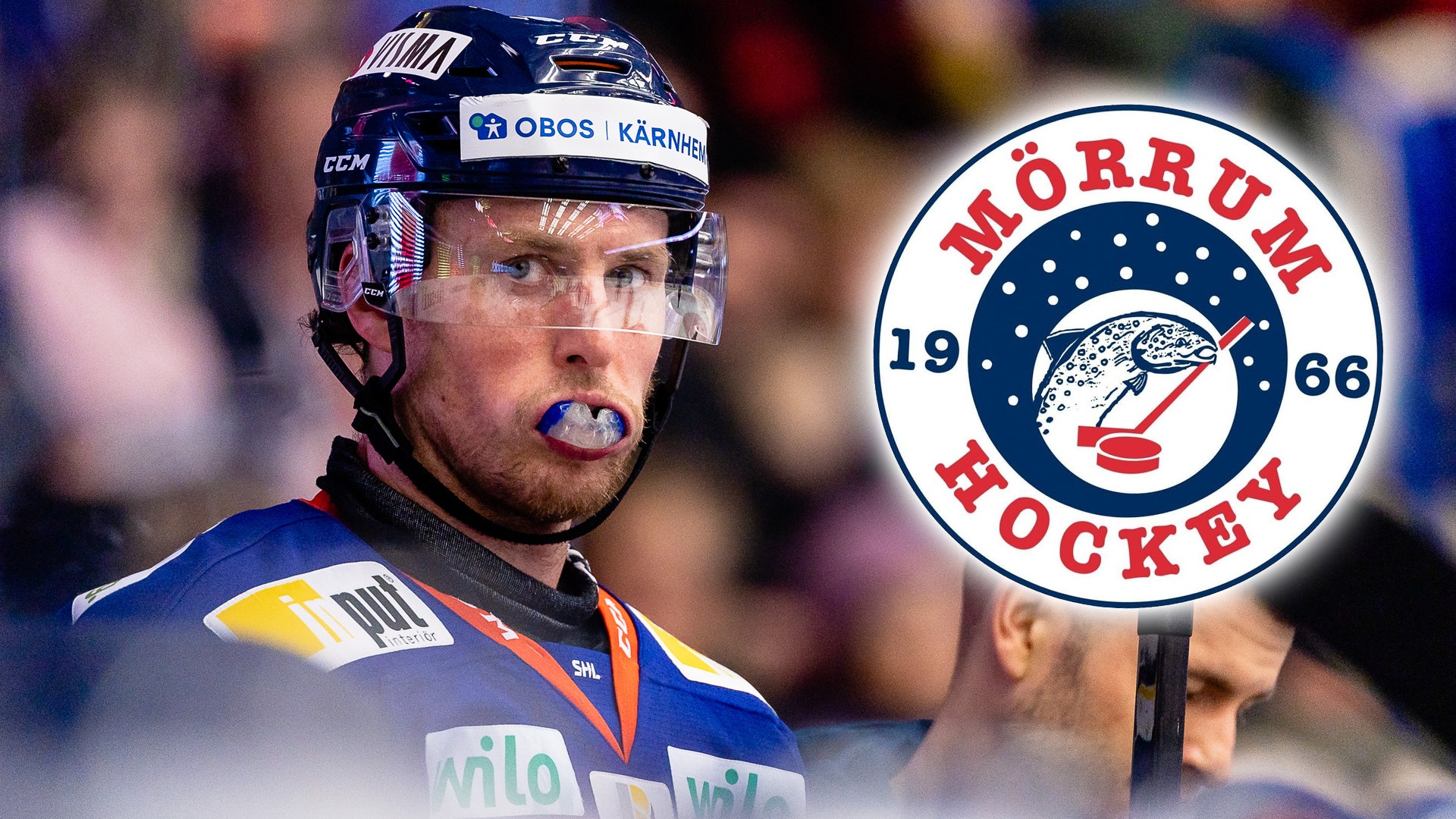 (25794) Marcus Paulsson