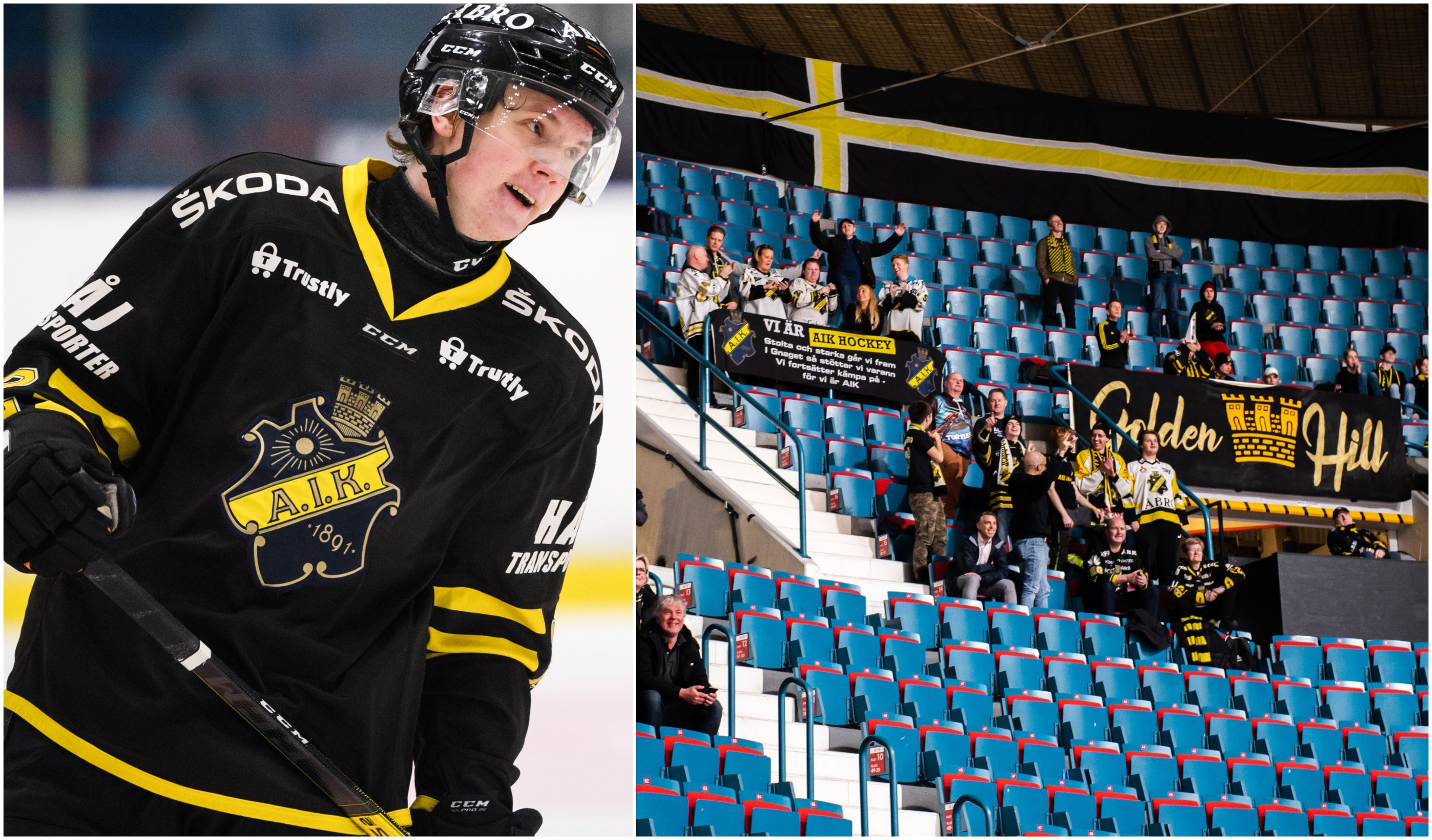 (13165) kollage måndag