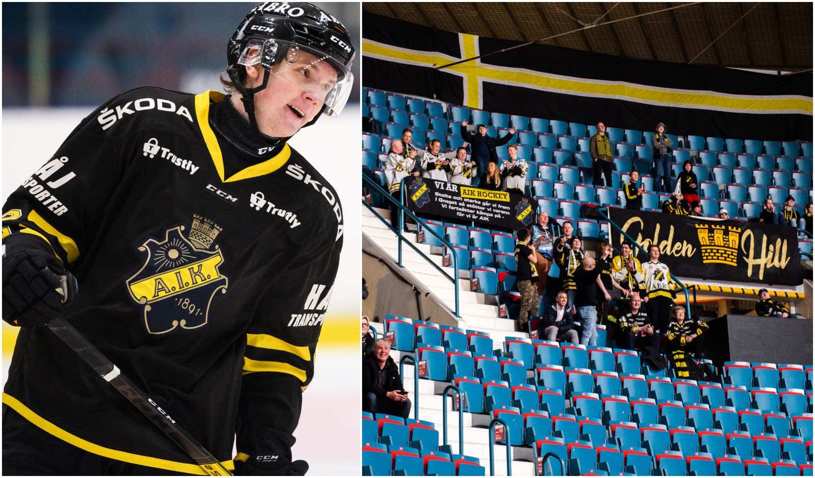 (13165) kollage måndag